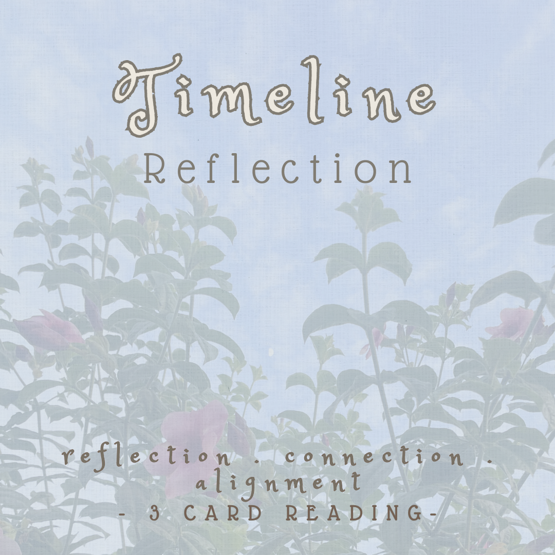 Timeline Reflection